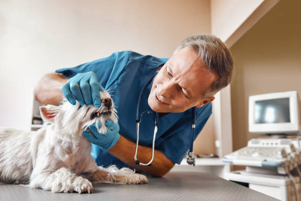 Best Emergency Tooth Extraction in Benbrook, TX